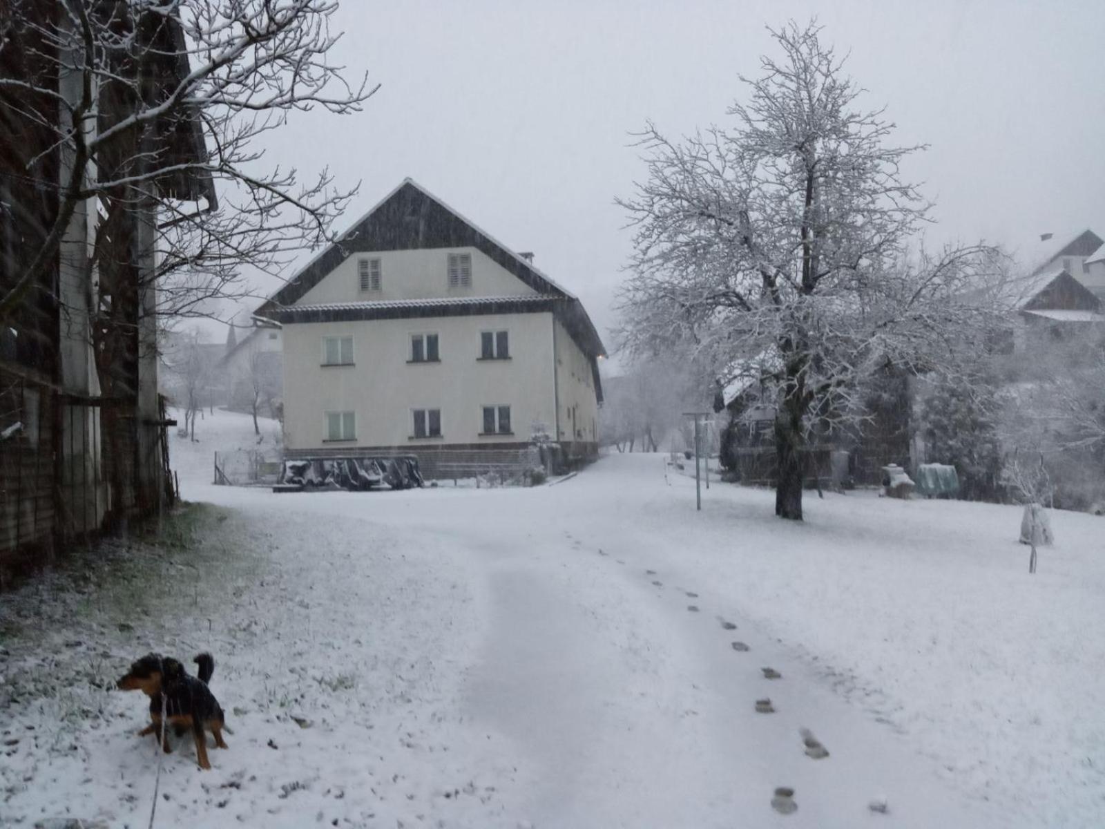 Domacija Markc Zelezniki Buitenkant foto