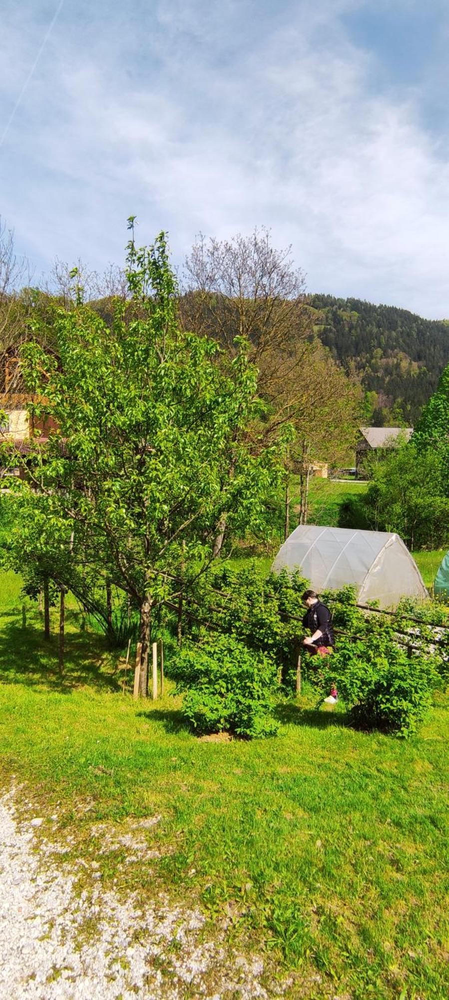 Domacija Markc Zelezniki Buitenkant foto