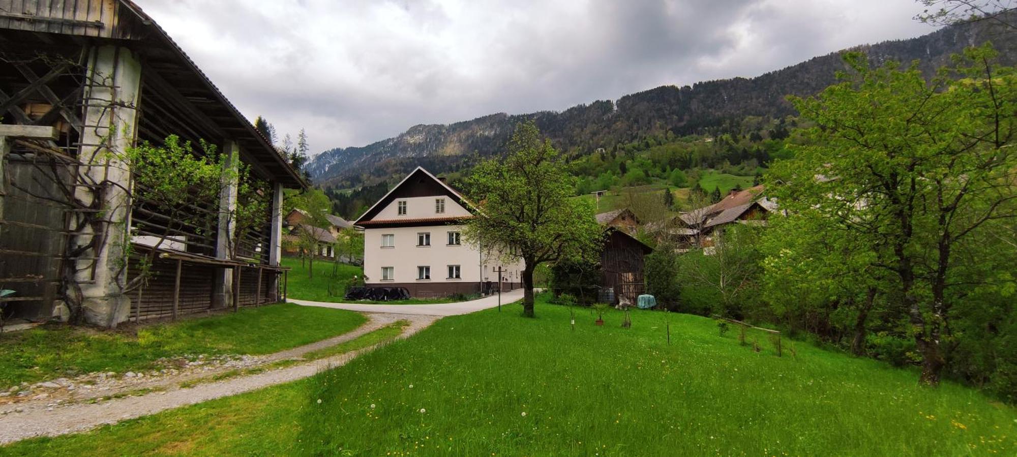 Domacija Markc Zelezniki Buitenkant foto