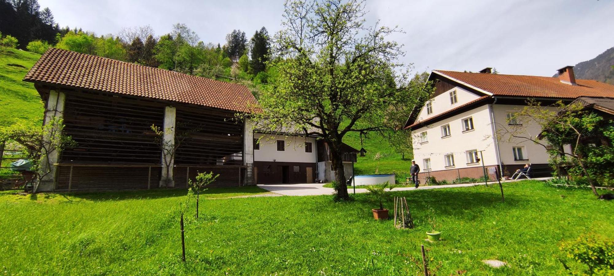 Domacija Markc Zelezniki Buitenkant foto